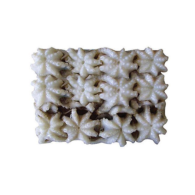 Babyoctopus from Sunrise Food Trading