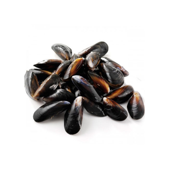 Boiled Mussel from Sunrise Food Trading