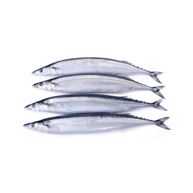 Pacific Saury from Sunrise Food Trading