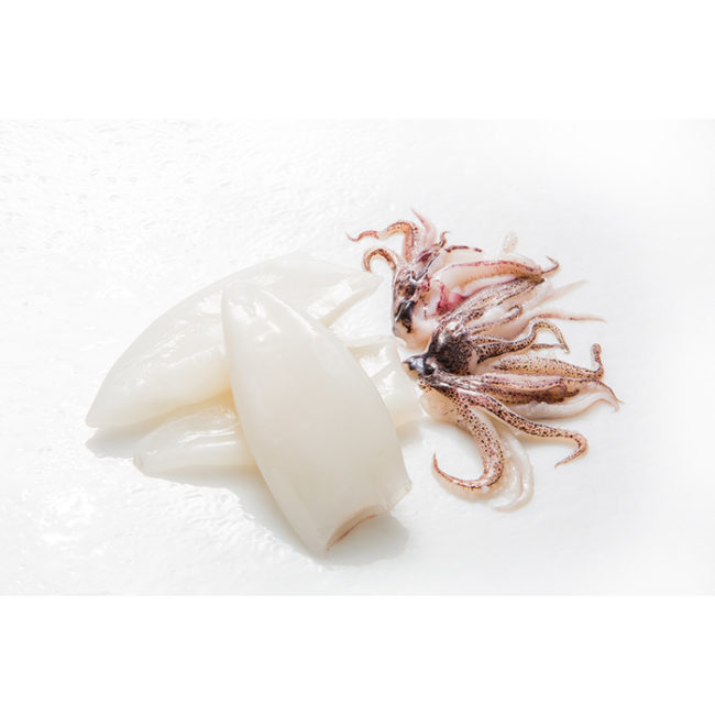 TT SQUID from Sunrise Food Trading