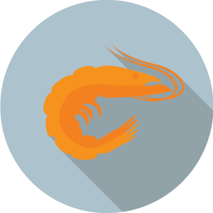 icons-shrimp
