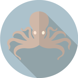icons-squid